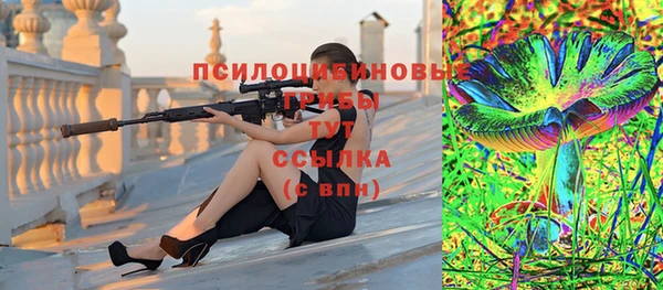 крисы Алексин