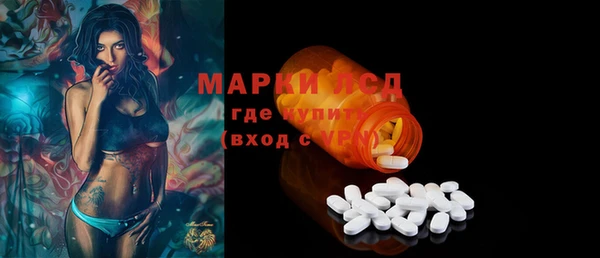ECSTASY Алзамай