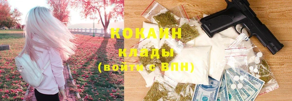 ECSTASY Алзамай