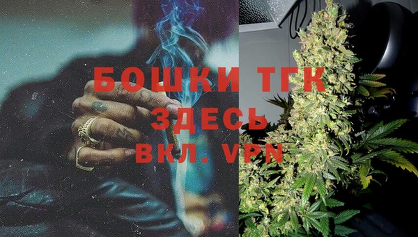 крисы Алексин